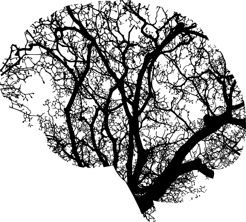 Cerebro conformado por ramificaciones de un árbol